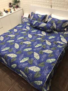 Vỏ chăn ga gối poly cotton TRẦN BÔNG