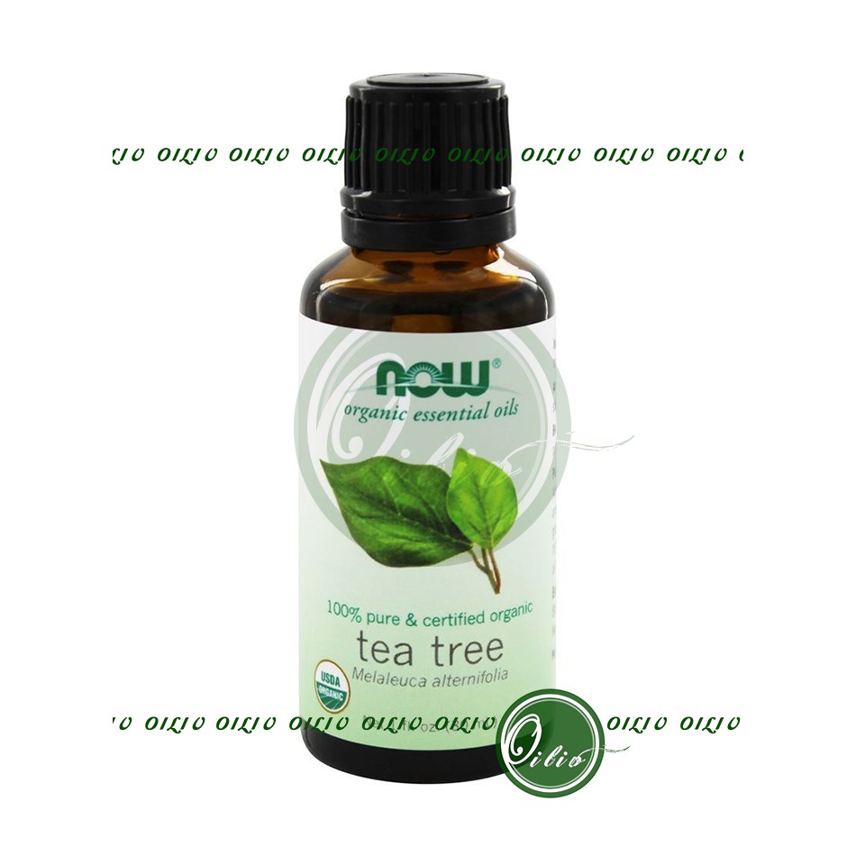 Tinh dầu tràm chà hữu cơ Now organic pure Tea tree oil