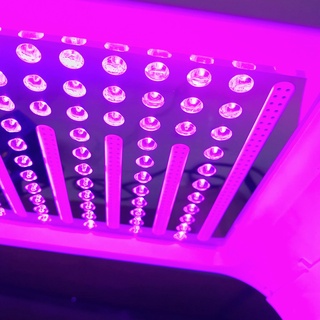 Vòm Ánh Sáng Sinh Học 7 Màu OMEGA LIGHT