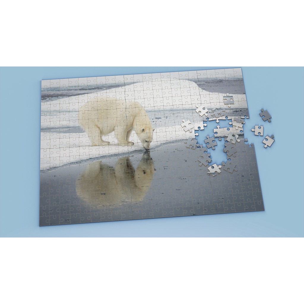 Tranh ghép hình Animal - Tranh ghép hình POLAR BEAR - Mẫu 12 - Nhận in hình tranh ghép theo yêu cầu