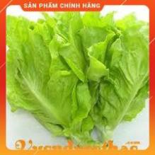hạt giống xà lách dúm vàng cao sản