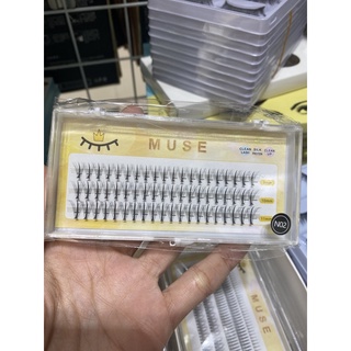 Mi muse cụm