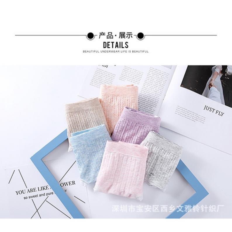 (Giá huỷ diệt) Hộp 5 quần lót nữ xuất nhật kháng khuẩn, quần lót muji, quần lót cotton | BigBuy360 - bigbuy360.vn