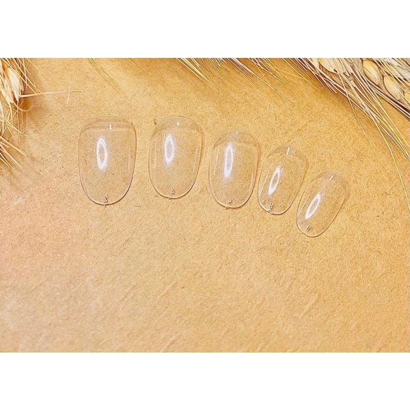 Hộp móng HSM tròn hạt na up móng giả