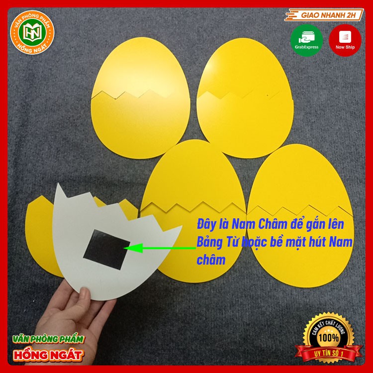 Đồ chơi giáo dục bộ trứng khủng long chất liệu alu dùng làm giáo cụ dạy học của giáo viên trong học tập