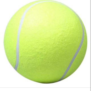 Banh tennis của c an
