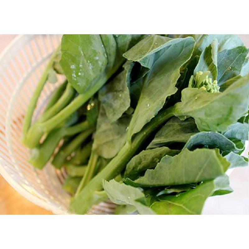 Hạt giống cải rổ F1 - cải ngồng làn Thái Lan