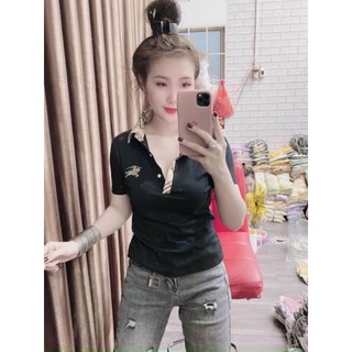 Áo thun nữ có cổ ôm body