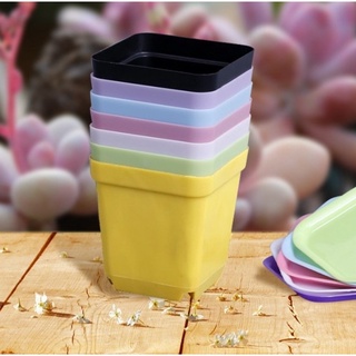 Chậu nhựa đen trồng sen 7x7cm
