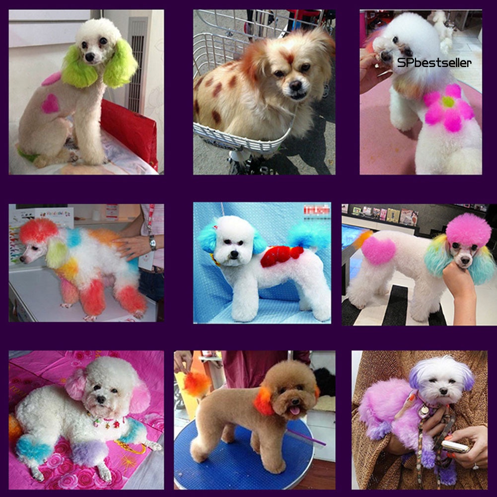 Gel nhuộm lông 100ml màu sắc dễ thương cho thú cưng