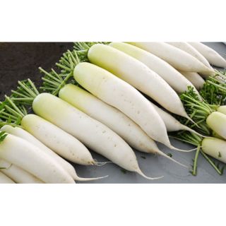 Hạt giống Củ Cải Trắng RADO gói 50GR cao cấp, năng suất cao, củ nặng ký