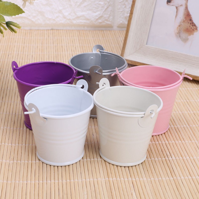 Chậu Trồng Cây Mini Bằng Kim Loại Trang Trí Nhà Cửa / Văn Phòng
