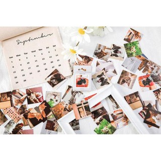 Bộ 46 Sticker Mèo Hàn Quốc dán trang trí E80