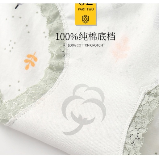 Quần Lót Cotton Phối Ren Siêu Dễ Thương Cho Nữ 35Kg-65KG
