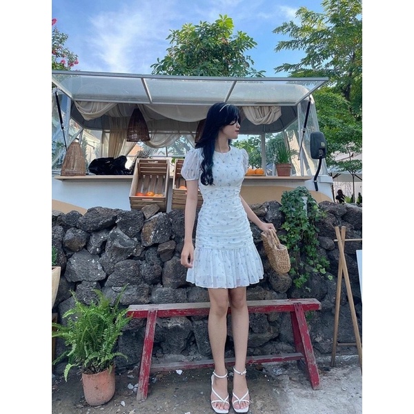 ĐẦM HOA NHÚN CHÂN BÈO