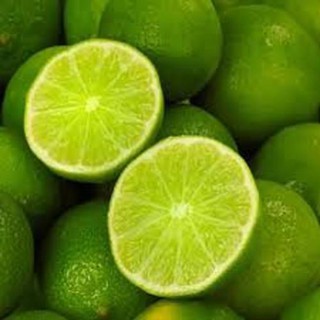 Cây giống chanh không hạt quả chùm
