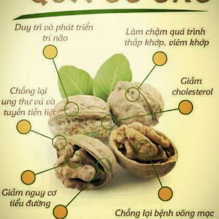 Quả óc chó