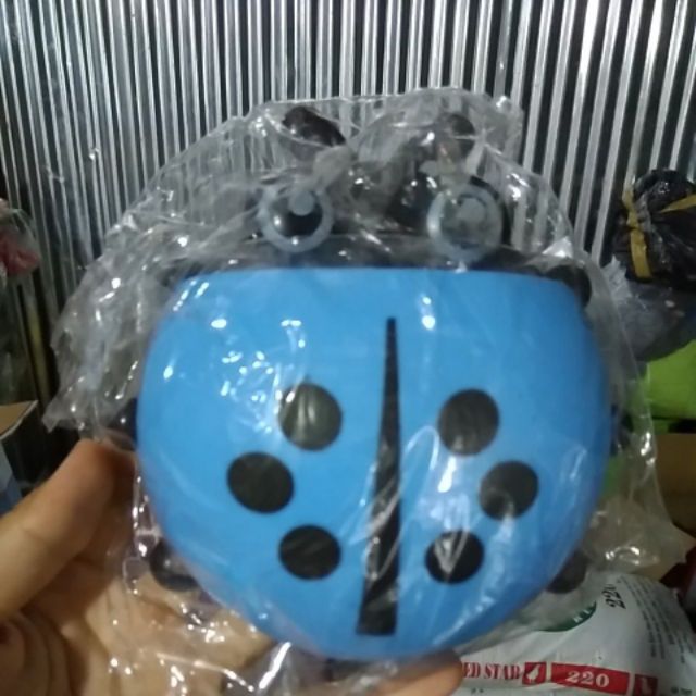 Combo con bọ rùa để bàn chải