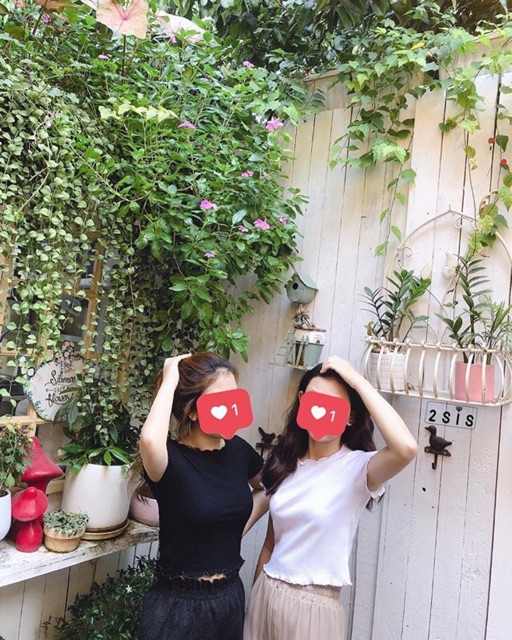 Áo thun gân cuốn biên