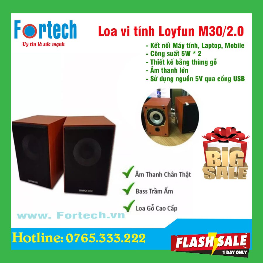 Loa vi tính Loyfun M30/2.0