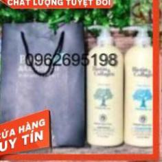 Dầu Gội Ngăn Rụng Tóc Cho Nam Nữ Dầu Cặp Loại 1000ml
