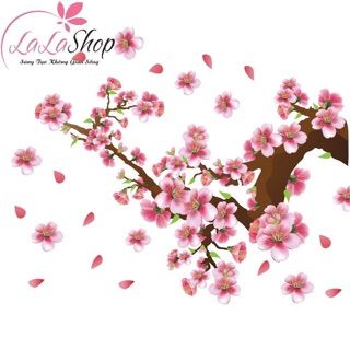 Combo 4 mẫu decal trang trí kính