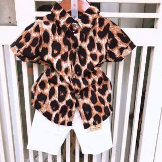 Set áo sơ mi lụa quần kaki