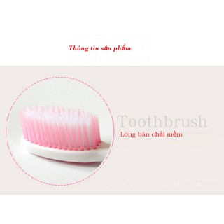 SG - Bàn chải đánh răng đôi tình nhân