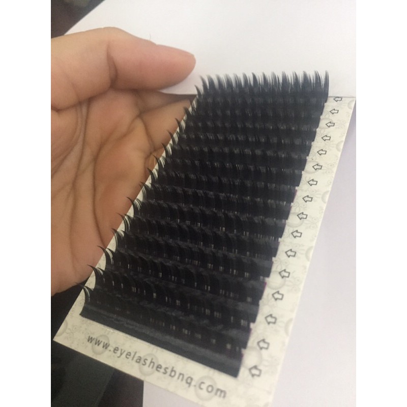 Mi Katun mi Hàn Quốc