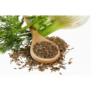 10GR - HẠT GIỐNG RAU THÌ LÀ