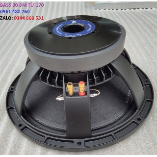 LOA BASS 30 BM TỪ 170 COIL 75 - GÁI 1 ĐÔI