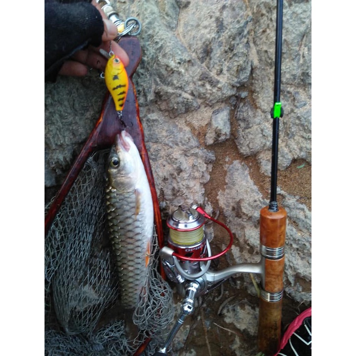 Mồi Lure câu cá siêu nhạy Crank Cherry 6.5g Hirushima HKN Fishing