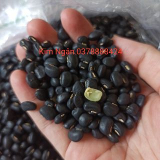 Đậu đen xanh lòng.