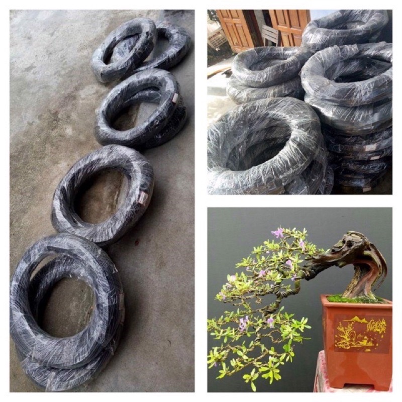 500gr Dây nhôm (bọc nhựa đen) uốn cảnh đủ size