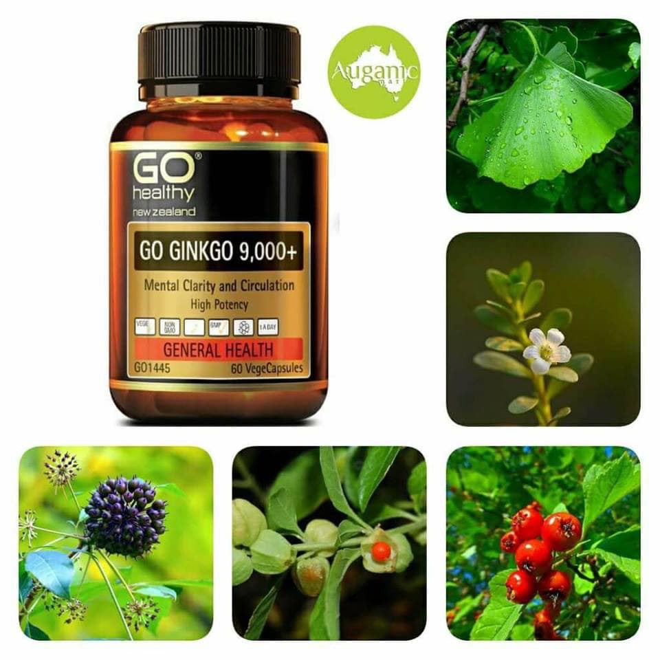 Viên uống bổ não hàm lượng cao nhất Úc - Go Healthy Ginkgo 9000mg