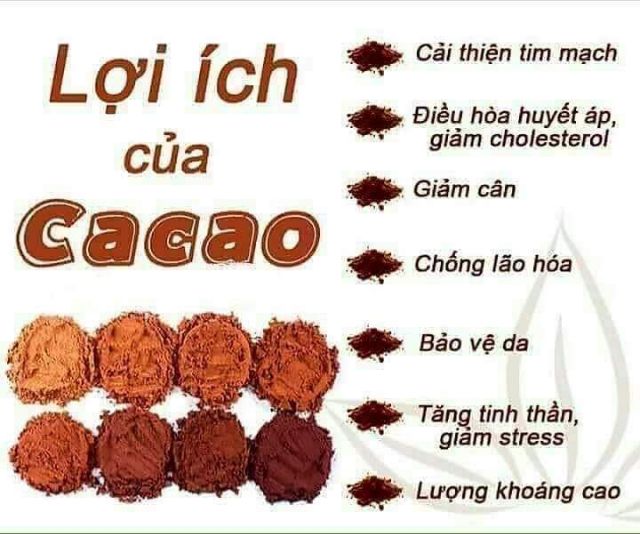 Cacao Daklak nguyên chất loại đậm nhất hộp 500g