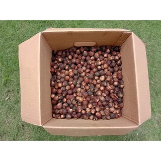 Combo 3kg bồ hòn tách hạt loại 1 tặng 0.5kg cùng loại
