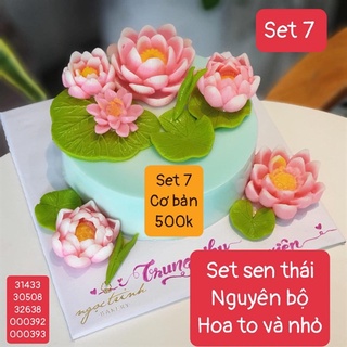 Combo set sen hoa sen cơ bản set 5