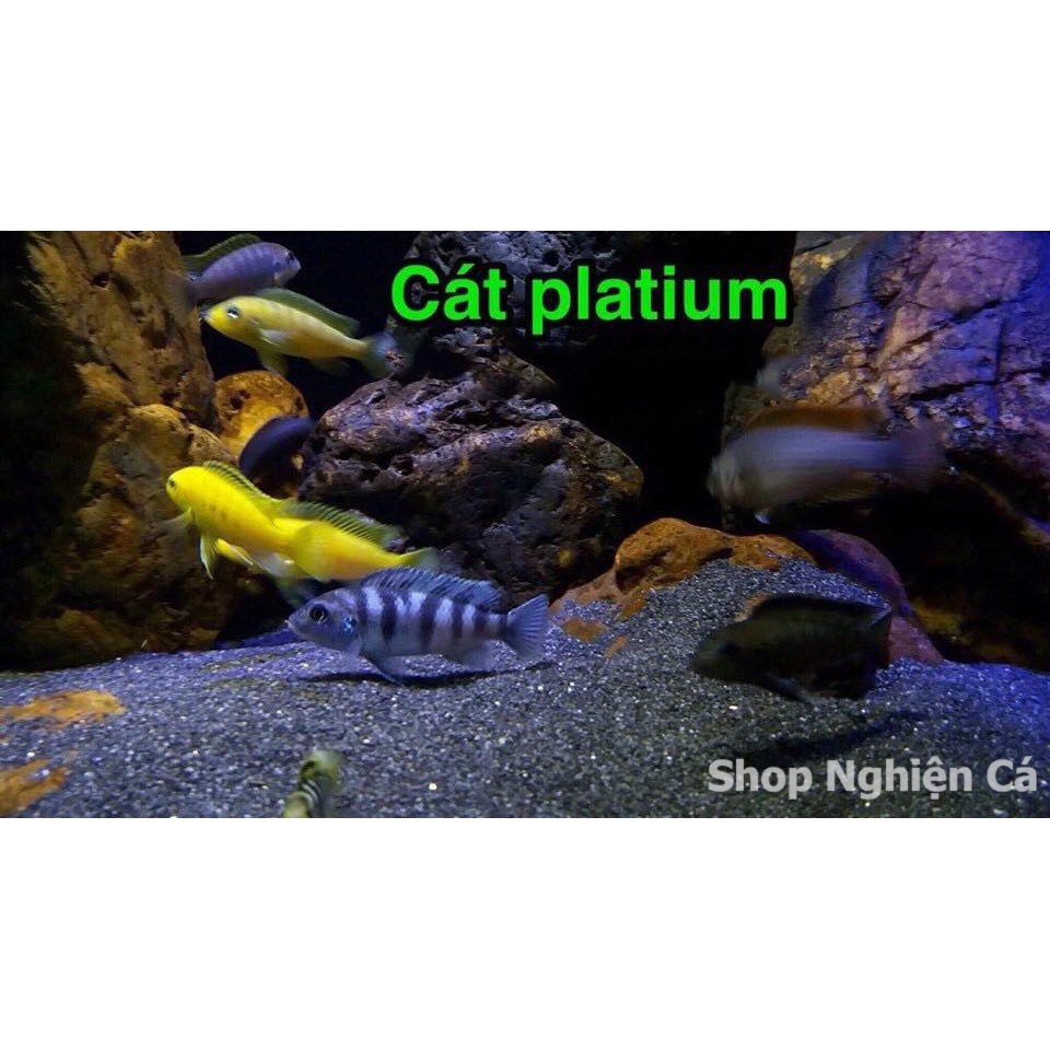 500g Cát đen Platium Trải Nền Bể Cá