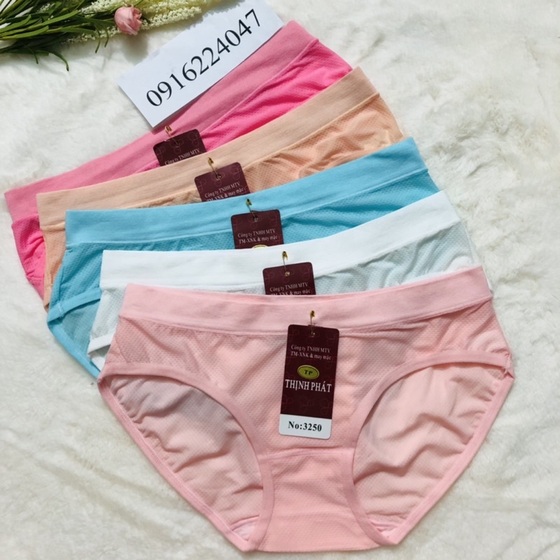 Set 5 Quần lót nữ Thịnh Phát thông hơi cực êm, quần chíp nữ lưng dệt chất đẹp