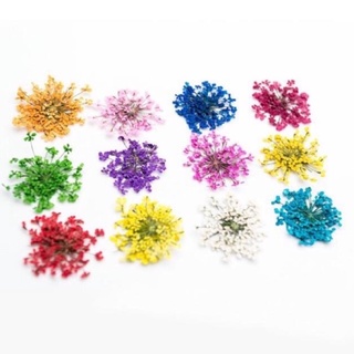 Set hoa khô ẩn gel