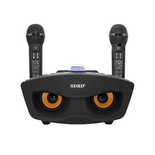 loa Bluetooth karaoke 306 cao cấp