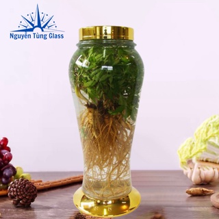 Bình ngâm rượu sâm thủy tinh Phú Hoà 6 lít có van và không van
