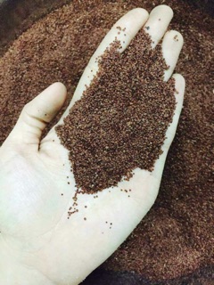 Hạt Đình Lịch ( Ngũ Hoa Hạt ) 