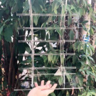 KỆ TRƯNG BÀY MẮT KÍNH SLL