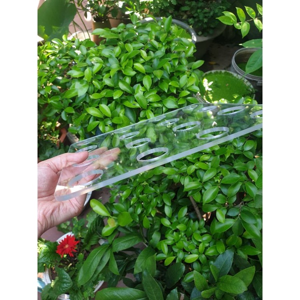 Khay bày tháp nước 5 tầng mica trong 5mm