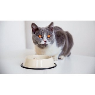 Thức Ăn Hạt Royal Canin Kitten (Mèo Con)- 2kg