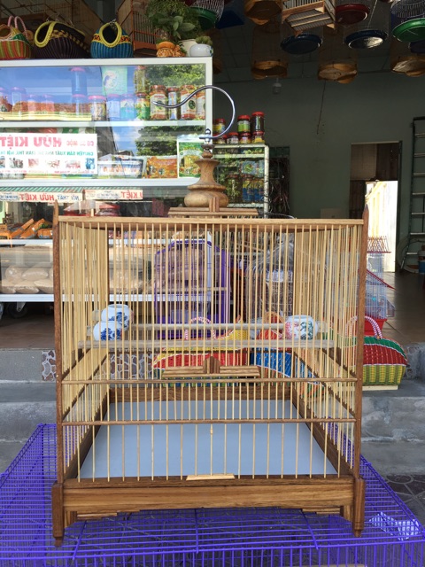 Mẫu lồng vuông bán súng 19 nan