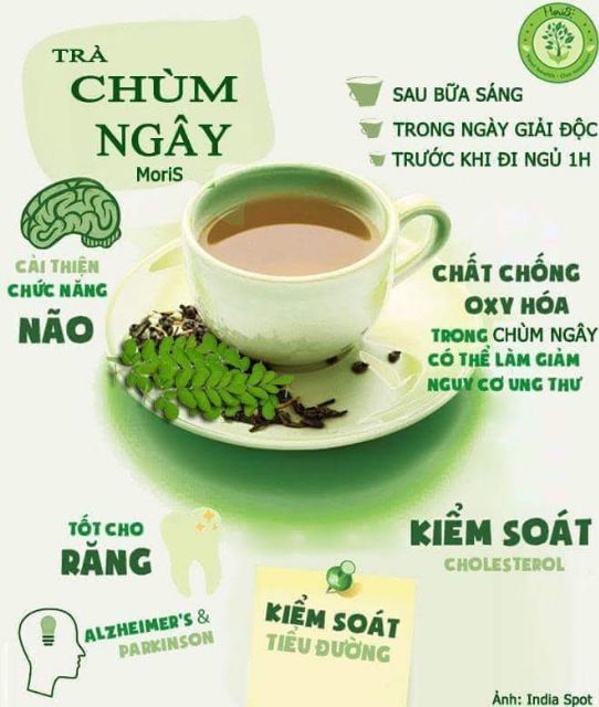 [Masa-Mẫu Tết] Trà chùm ngây túi lọc 24 gói(Kèm gợi ý hộp quà)