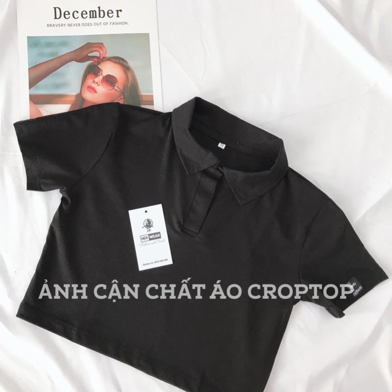 [HÀNG BÁN SHOP] Áo croptop nữ Polo cổ bẻ, dáng ôm nhẹ chất cotton co dãn thoáng mát. 💖 '